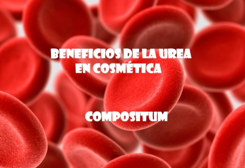 Beneficios de la urea en cosmética Beneficios de la urea en cosmética
